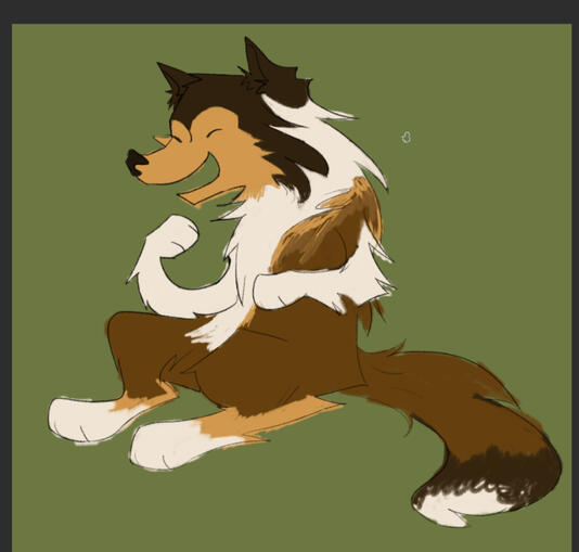 Collie drawing wip